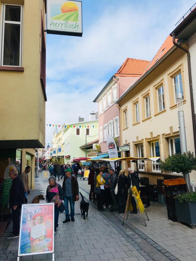 Boutique-Ferienwohnung im alten Weinhaus Moser Grünstadt Extérieur photo